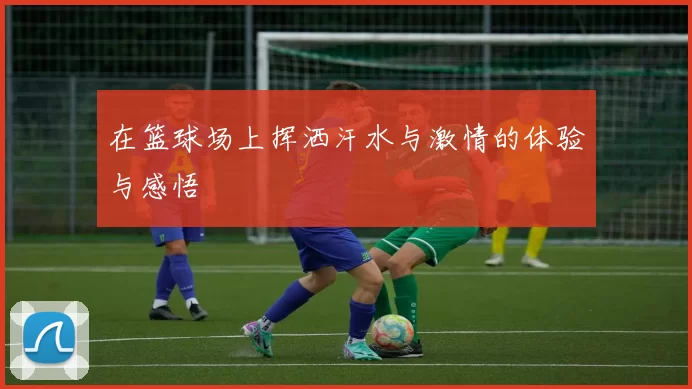 在篮球场上挥洒汗水与激情的体验与感悟
