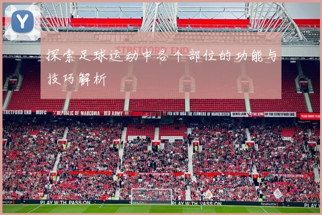 探索足球运动中各个部位的功能与技巧解析
