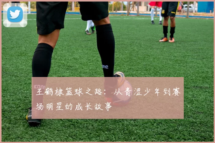 王鹤棣篮球之路：从青涩少年到赛场明星的成长故事