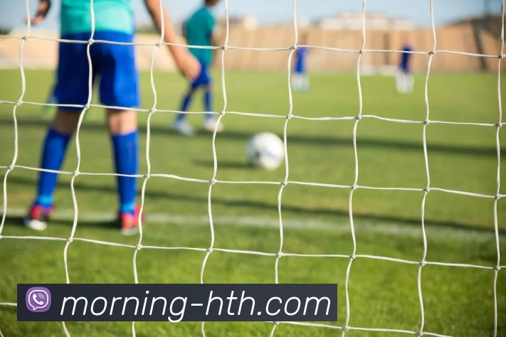 华体会APP 体育赛事宣传图